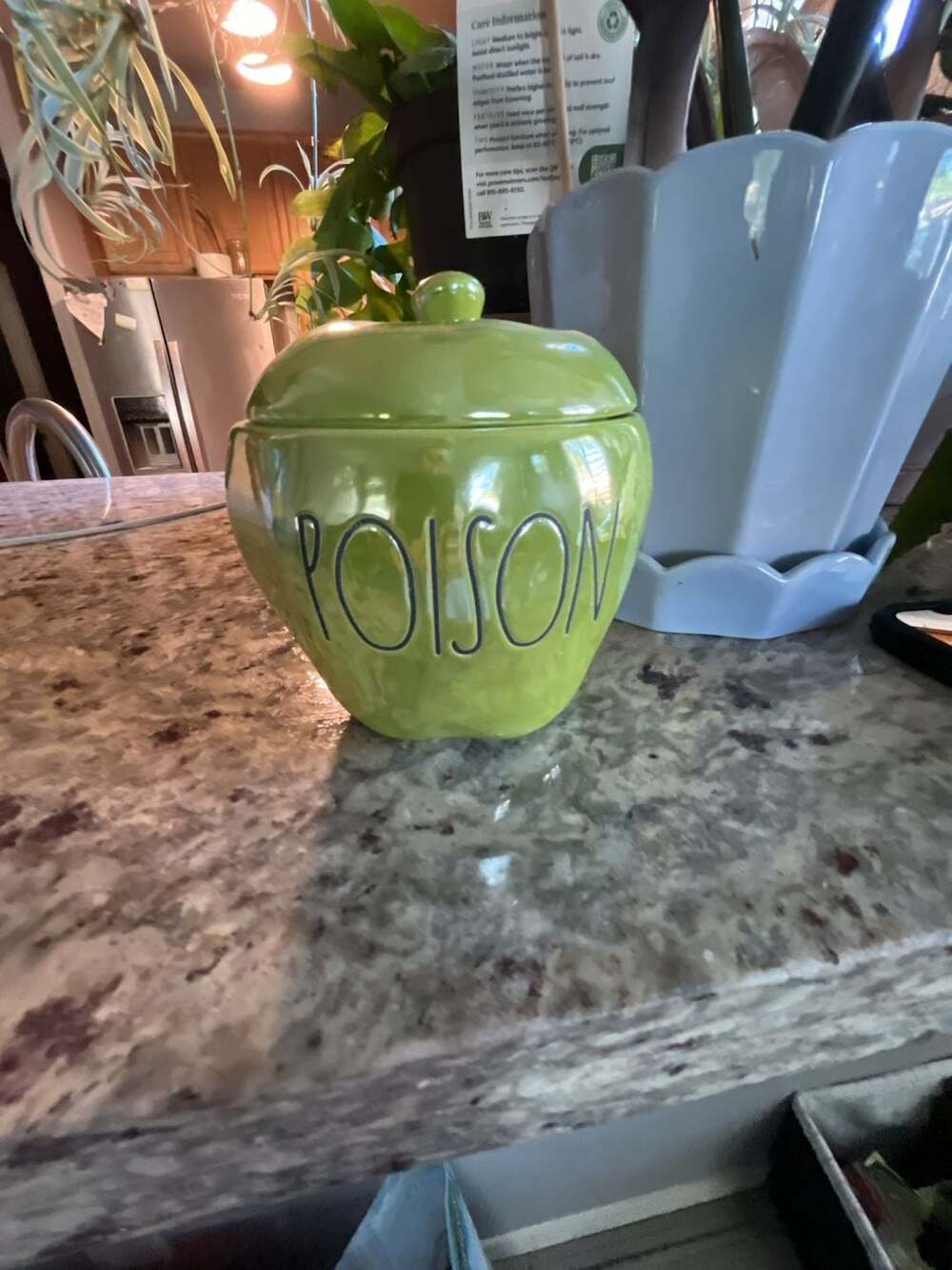DW Home x Magenta Poison Candy Apple Scented Candle